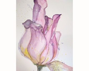 Acuarela original de tulipanes, arte floral para pared, 45 x 30 cm. Delicada acuarela floral de Zoepictures.