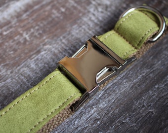 Green Suede Dog Collar - Metal Buckle