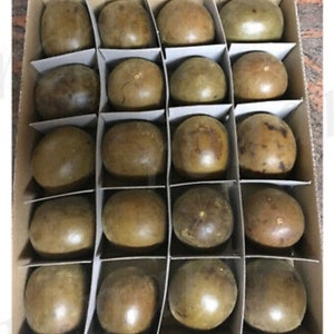 May include: A cardboard box filled with 18 brown luo han guo fruits, also known as monk fruit, arranged in a grid pattern.