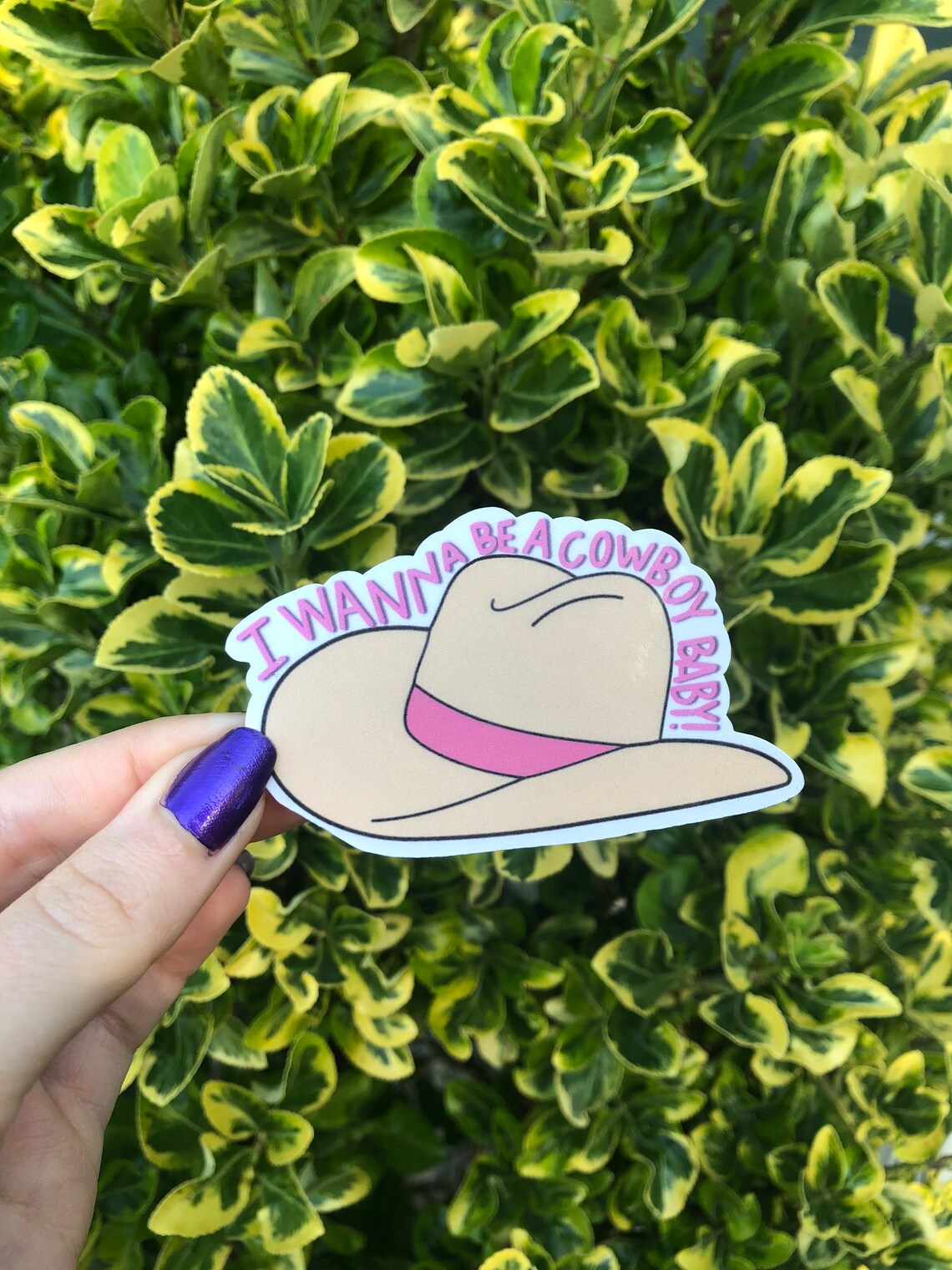 Vine Reference Stickers And Bumper Stickers Vine Decals Etsy