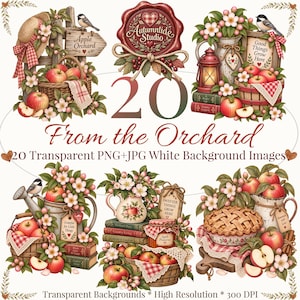 Könnte beinhalten: Eine digitale Sammlung von 20 Illustrationen zum Thema Obstgarten mit Körben voller roter Äpfel, Apfelblüten, Holzschildern, Laternen, Büchern und Kuchen. Der Text lautet 20 From the Orchard, Transparent PNG+JPG White Background Images.