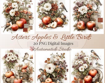 Conjunto de 20 imágenes PNG de Asters, manzanas y pajaritos ~ Cesta de manzanas de otoño, pájaros, collage de cuadros, papel, páginas de diario, scrapbooking, imágenes prediseñadas