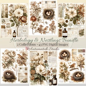 Kit Herbologia e Filhotes ~2 Coleções, Conjunto de 43 peças~ Herbologia Vintage, Botânica, Ninhos de Pássaros, Rosas, Cartas, Enfeites, Colagens, Páginas para Diário