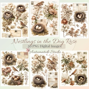 May include: A collection of 20 digital PNG images titled Nestlings in the Dog Rose by Autumntide Studio. The graphics feature sepia-toned illustrations of birds, bird nests with eggs, vintage postcards, and floral arrangements of dog rose blossoms.