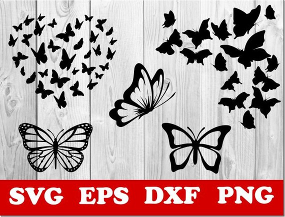 Download Butterfly Svg Butterfly Pattern Svgbutterflys Svg Butterfly Etsy