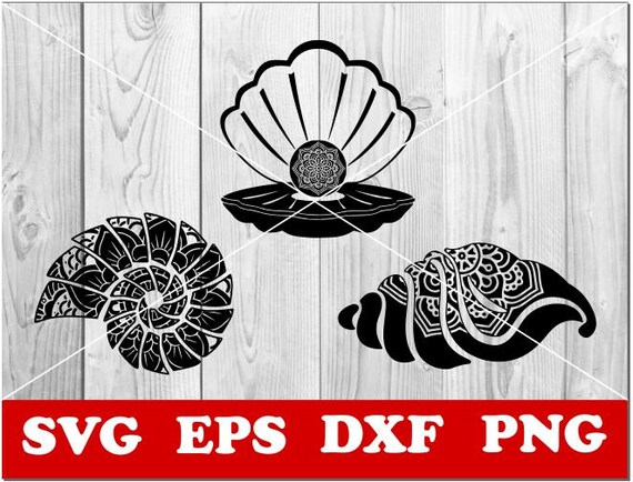 Download Shell Svg Shell Mandala Svg Zentangle Svg Mandala Svg Etsy