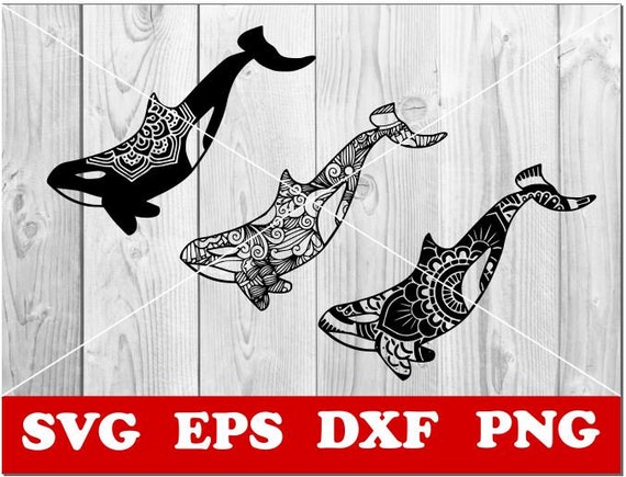 Download Whale Svg Whale Mandala Svg Zentangle Svg Mandala Svg Etsy