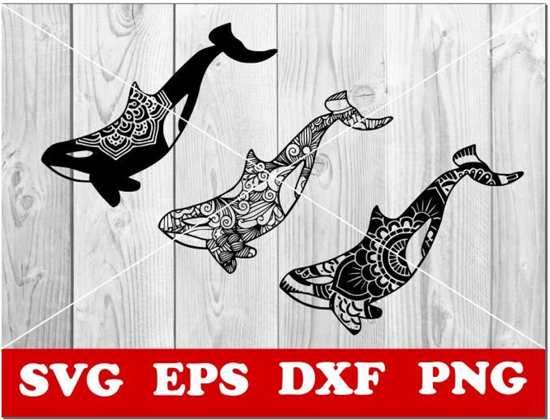Download Whale svg Whale mandala Svg Zentangle SVG Mandala svg | Etsy