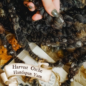 Op de afbeelding: Close-up van Harvest Oiche Handspun Yarn in tinten zwart, bruin en grijs. Het getextureerde garen wordt vastgehouden in een hand met donkergroene nagellak. Een vintage zakhorloge en een open boek staan op de achtergrond.