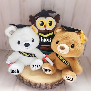 Custom Graduation Bear, Graduation 2025, Graduation Gifts, Graduation Keepsake, Gifts for Grads, Preschool Graduation, Grad Bear, Pre-k Grad