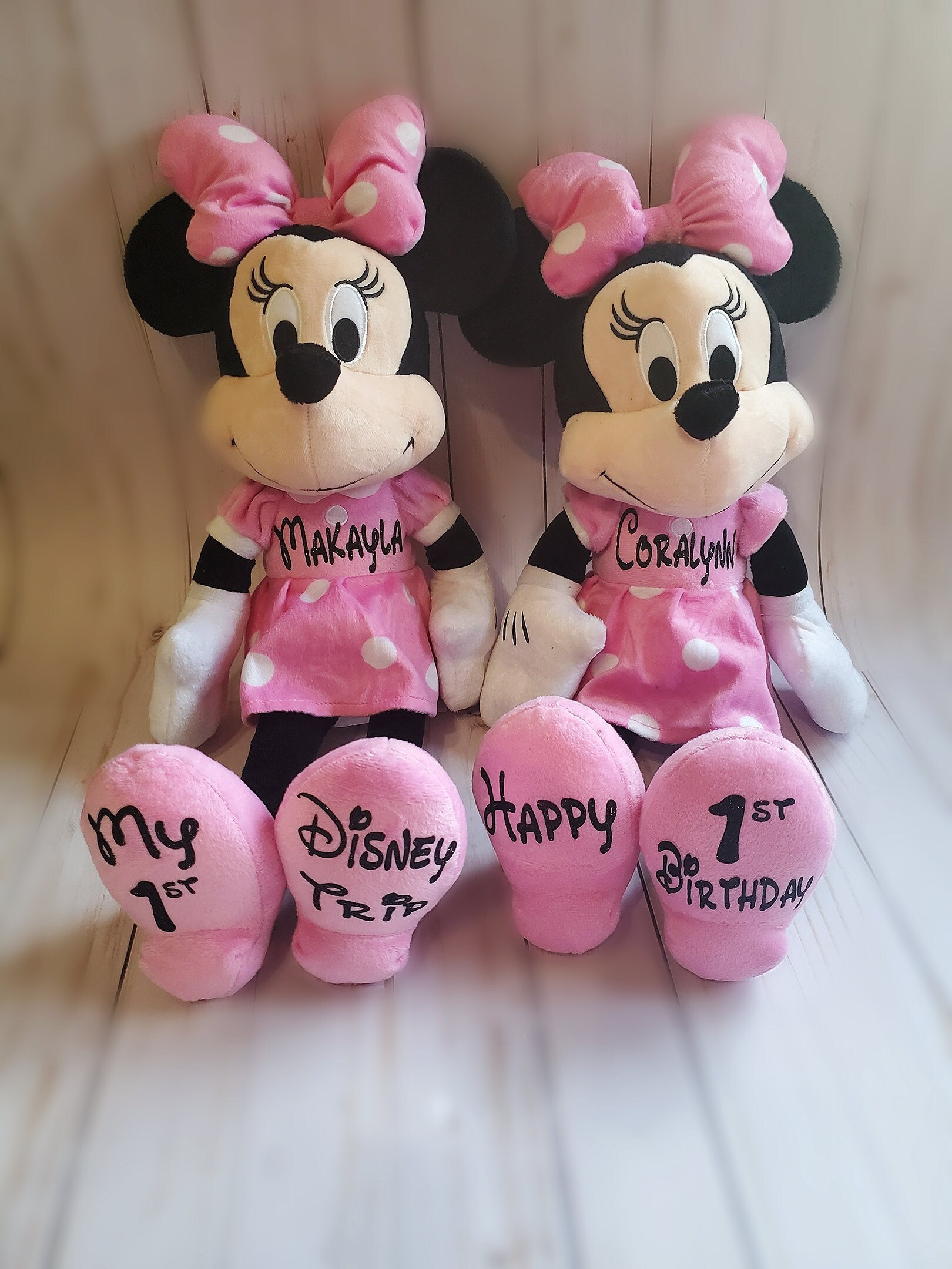 Custom Minnie Plush, First Disney Trip, Happy Birthday