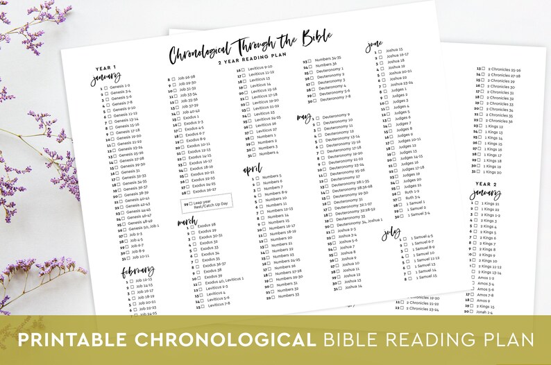 Printable Chronological Bible Reading Plan