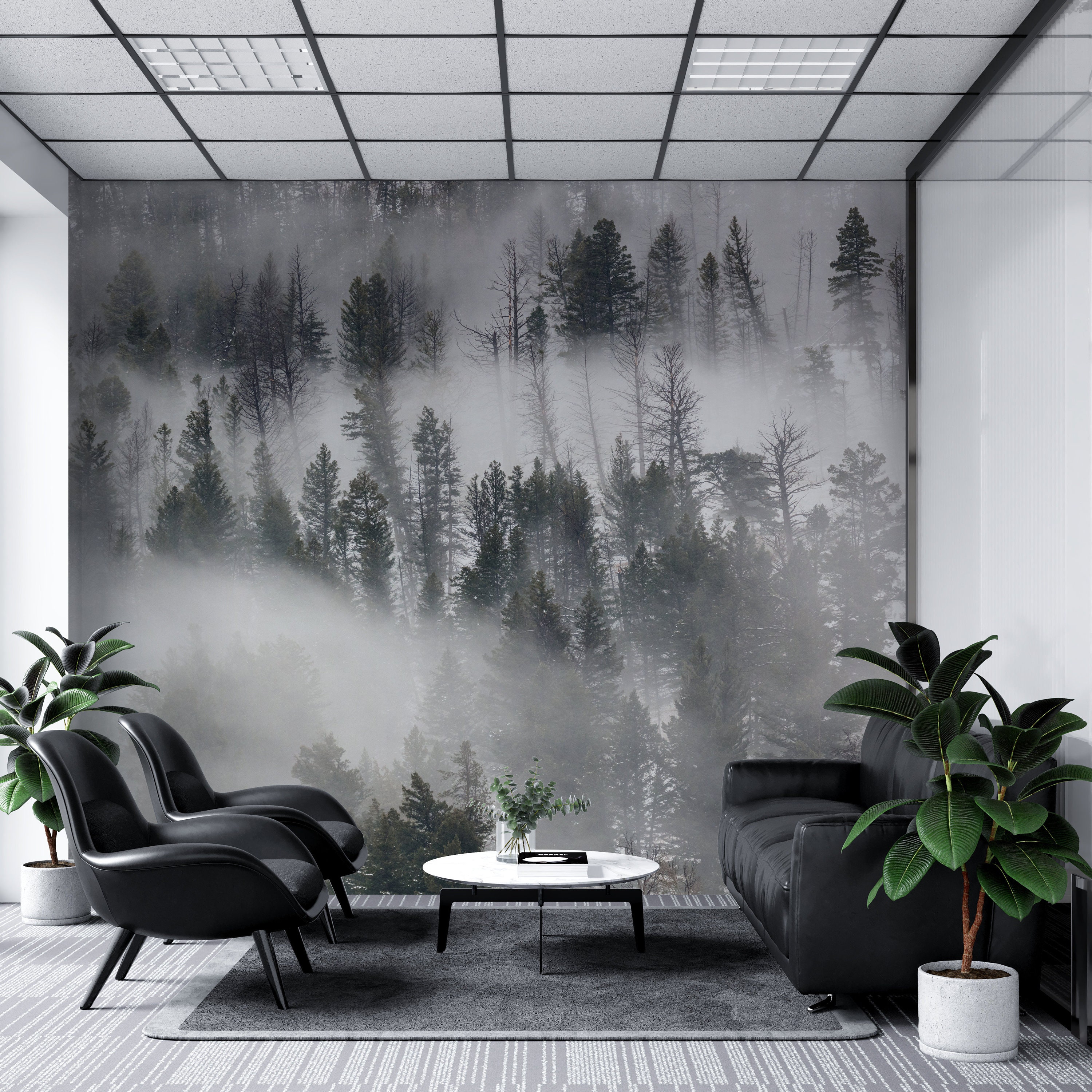 Foggy Pine Forest Wallpaper | Wall Mural, Peel and Stick Self Adhesive ...