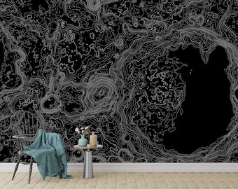 Moon Abstract Map Wallpaper, Black and White Lunar Crater Wall Mural with Topographic Line Design for Modern Interiors