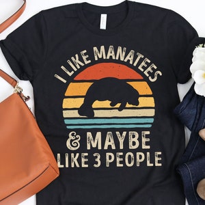 I Like Manatees and Maybe 3 People Sunset Shirt / Manatee Shirt / Manatee Gifts / Retro Vintage / Manatee Design  / Tank Top / Hoodie