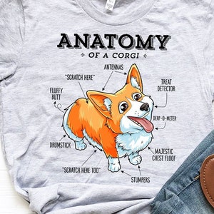 Anatomy of a Corgi Shirt / Corgi Gifts / Funny Cute Corgis / Corgi Lover Gift / Tank Top / Hoodie