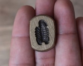 India Vintage Brass Scorpion Jewelry Die Mold Hand Engraved Collectible Rare Die