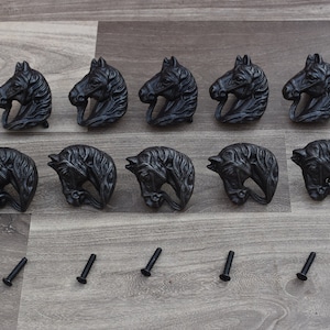 May include: Ten black cast iron cabinet knobs, each shaped like a horse head. The knobs are arranged in two rows, with five knobs in each row. Five black screws are also included.