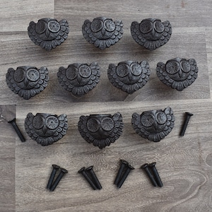 May include: Ten dark grey owl-shaped cabinet knobs with detailed feather and eye designs. The knobs are arranged on a wooden surface, with black screws. These decorative knobs add a whimsical touch to furniture. The knobs are approximately 5 cm in diameter.