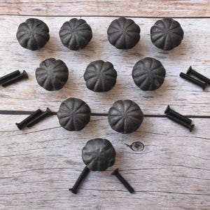 May include: A collection of ten black, cast iron cabinet knobs with a pumpkin-like design, arranged on a light wood surface. Each knob is accompanied by a pair of black screws, ready for installation. The knobs are approximately 1.5 inches in diameter.