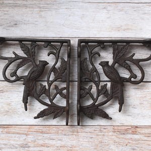 May include: Two decorative, dark brown cast iron shelf brackets. Each bracket features a bird perched on a leafy branch design. The brackets are mounted on a light brown wooden surface, adding a rustic touch to the decor.