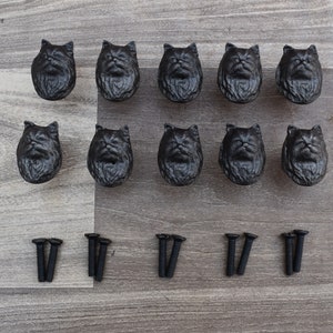 Puede incluir: Diez tiradores de cajón de hierro fundido negro en forma de cabeza de gato con textura peluda. Los tiradores están dispuestos en dos filas de cinco. Los tiradores vienen con diez tornillos negros.