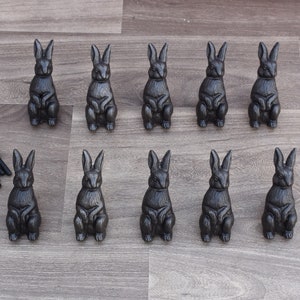 Könnte beinhalten: Zwölf schwarze, gusseiserne Kaninchen-Schubladenknöpfe mit einer patinierten Oberfläche. Die Knöpfe haben die Form eines sitzenden Kaninchens mit gekreuzten Pfoten. Die Knöpfe sind in zwei Reihen zu sechs angeordnet. Es sind auch acht schwarze Schrauben enthalten.