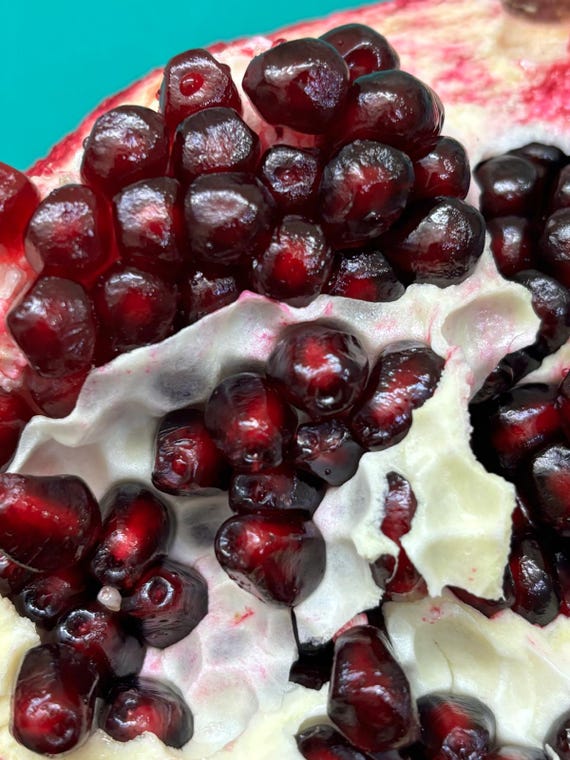 Samen Zwerg Granatapfel Grenadine (Punica granatum var. Nana
