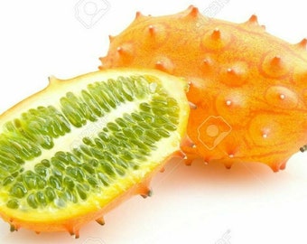 Kiwano Melone Gehornte Melone 15 Samen - frische Lebendsamen Versandkostenfrei