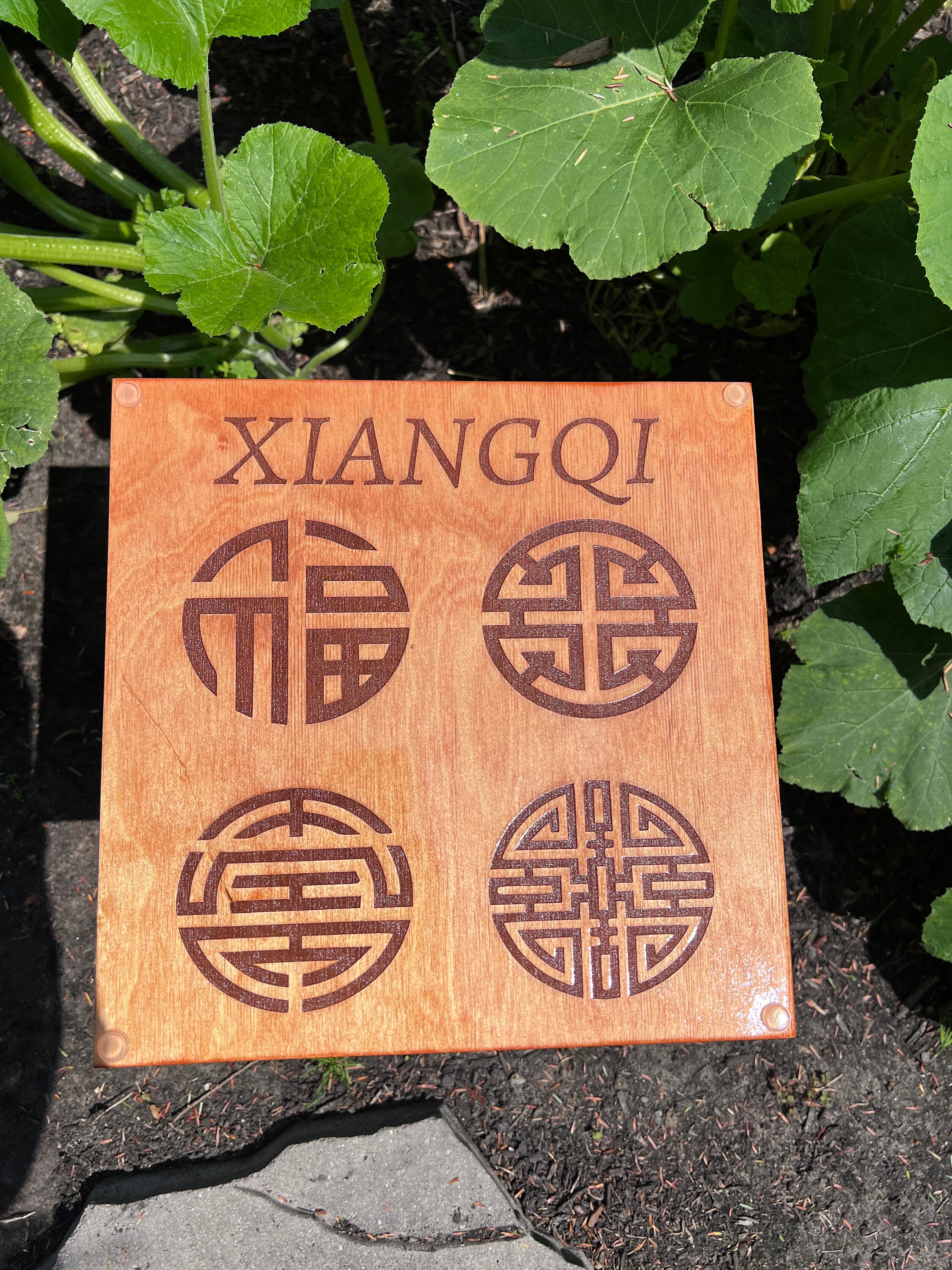 Custom Xiangqi and Shogi Project Complete : r/xiangqi