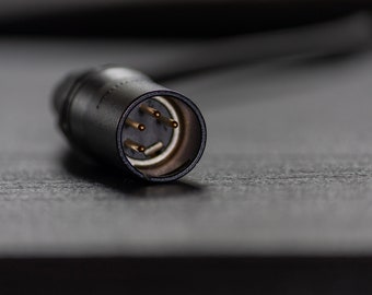 Paracord 5' main cable. 4 pin female mini XLR to 4 pin male XLR, balanced.