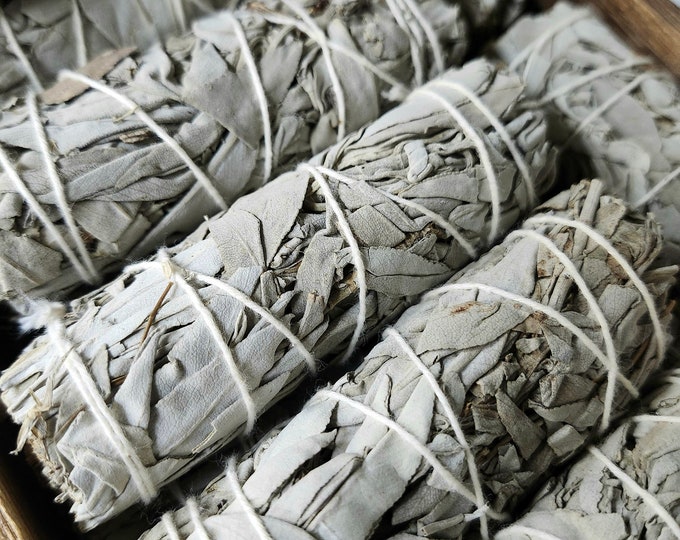 White Sage Bundle