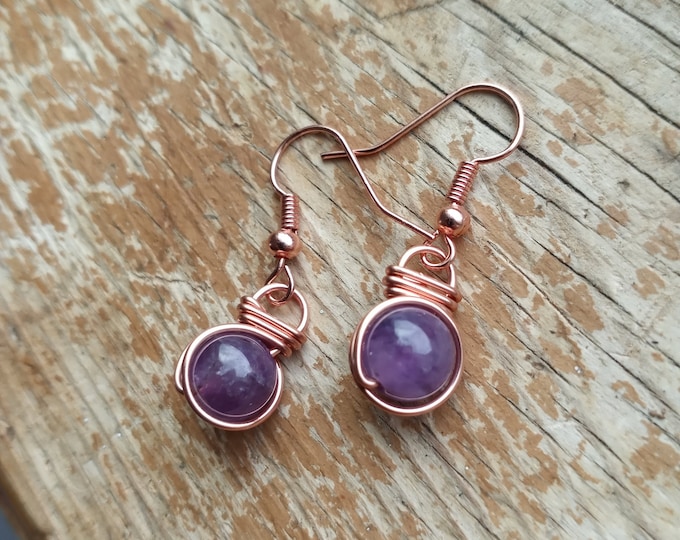 Amethyst Fish Hook Earrings