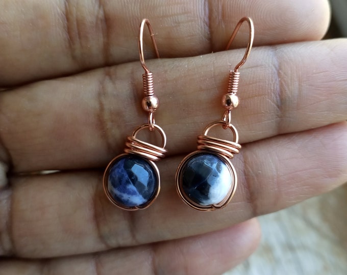 Sodalite  Fish Hook Earrings