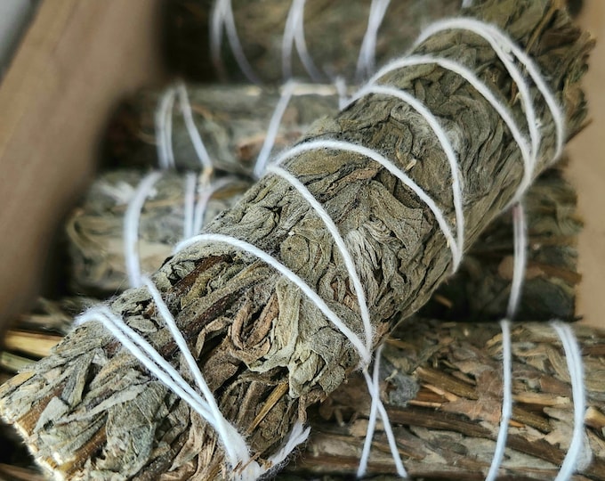 Black Mugwort Bundle