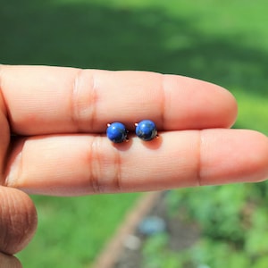 Può includere: Un paio di piccoli orecchini a bottone rotondi in lapislazzuli blu con perni dorati.