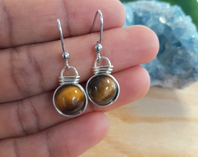 Tigers Eye Fish Hook Earrings