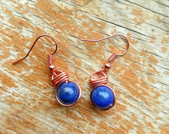 Lapis Lazuli Fish Hook Earrings