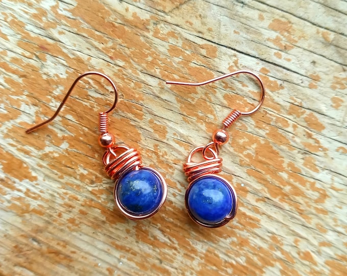 Lapis Lazuli Fish Hook Earrings