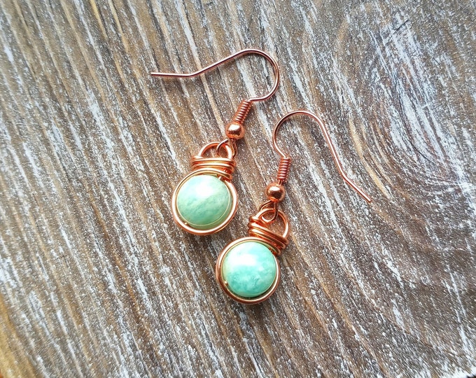 Amazonite Fish Hook Earrings