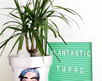 Tupac Planter Pot + Saucer (Metallic Pearl)