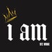 I AM ST. VIBE