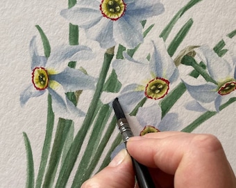 Narzissen Original Aquarell Malerei Botanische Kunst Realistische Wandkunst Handgemaltes Bild Blumen