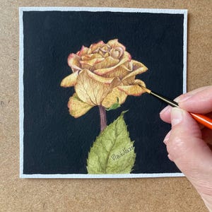 Rose Original Watercolor Painting Botanical Art Realistic Wall Art  Hand Painted Picture