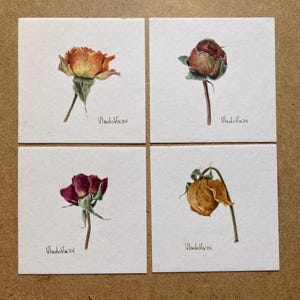 Original Rosen Aquarell Malerei Botanische Kunst Realistische Wandkunst Handgemaltes Bild Miniatur