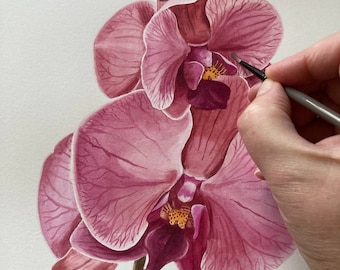 Original Оrchid Watercolor Painting Botanical Art Realistic Wall Art  Hand Painted Picture