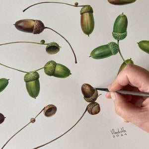 Pintura de acuarela de bellotas original, arte botánico, arte mural realista, cuadro pintado a mano