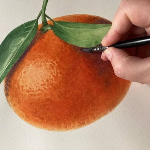 Pintura original en acuarela mandarín, arte botánico, arte mural realista, cuadro pintado a mano