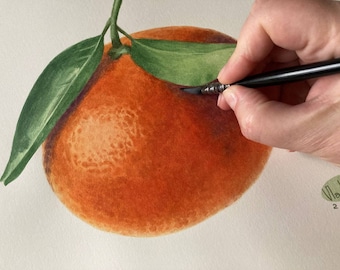 Mandarin Original Watercolor Painting Botanical Art Realistic Wall Art  Hand Painted Picture