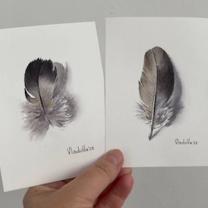 Original Feathers Watercolor Painting Botanical Art Realistic Wall Art  Hand Painted Picture Miniature